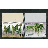Беларусь 2012. Флора. Папоротники