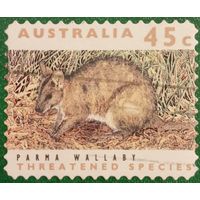 Австралия 1992. Фауна. Parma Wallaby
