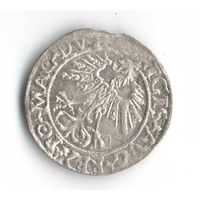 Полугрош 1562 Сигизмунд 2 Август