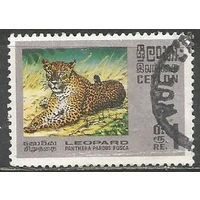 Цейлон. Леопард. 1970г. Mi#398.