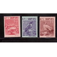 Албания-1961,(Мих.630-632)  ** , (20 % каталога), Фауна, Птицы, (кат.=20 е)