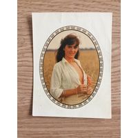 Переводная картинка (ГДР)