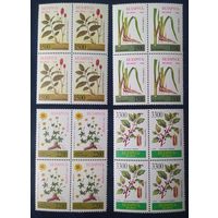 Беларусь 1996 кв. блоки, лекарственные растения