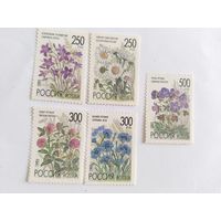 Россия  1995   5 м.