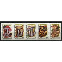 Ядовитые грибы. 1986. Полная серия 5 марок. Чистые