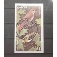 Шотландия. 1977 год. Фауна. Птицы  (блок, беззубцовка)