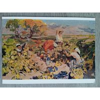 1958. Котанджян. Сбор винограда