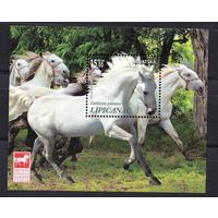 Хорватия 2018. Лошади блок (1405)