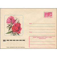 Художественный маркированный конверт СССР N 10915 (11.11.1975) Флоксы