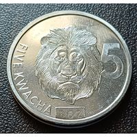 Замбия 5 квач, 2024