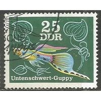 ГДР. Аквариумные рыбки. Гуппи. 1976г. Mi#2179.