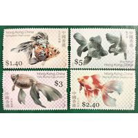Китай 2005. Гонк Конг. Фауна. Прудовые декоративные рыбы
