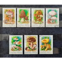 Венгрия 1984г. Серия из 7 марок. Грибы. гаш.