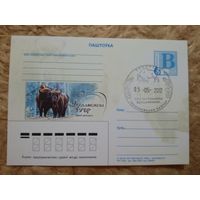 СГ Беларусь. 2012. Беловежская пуща. Зубр