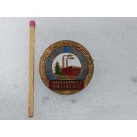 Знак ПНР. Заслуженному работнику предприятия " Вроцлавская целлюлоза". тяжёлый