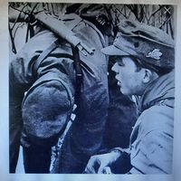 " Дубовые листья"-кокарда немецких егерей