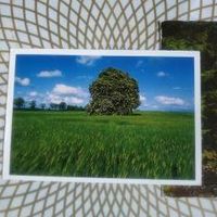 Почтовая карточка с маркой. Состояние на скане.