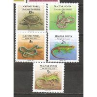 ФФ1 Венгрия 1989 Земноводные