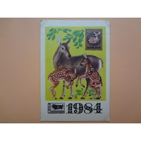 Календарик 1984 г.  ВОФ,  Олени.
