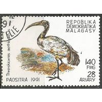 Республика Мадагаскар. Птицы. Священный Ибис. 1991г. Mi#1333.