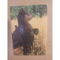 Календарь 1991 Мишки