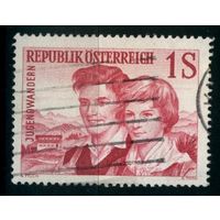 Австрия - 1960 [Mi. 1076] Гашеная (AT10)