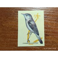 Спичечная этикетка Камышевка-Барсучок