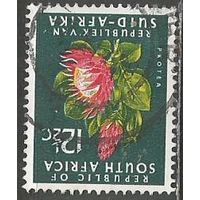 Южная Африка(Республика). Цветы. Протея артишоковая. 1964г. Mi#375.