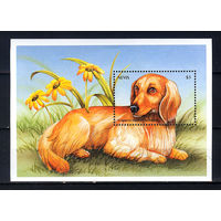 2000 Невис. Собаки. Блок