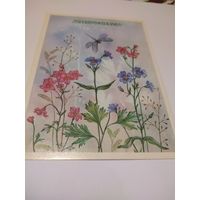 Открытка 1987г. Чистая. Художник И. Канканян.