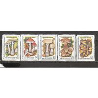 ФФ1 СССР 1986 Ядовитые грибы