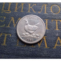 5 сенити 1981 Тонга #01 aUNC