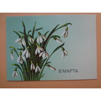 8 марта.  Подснежники.  1986 г.