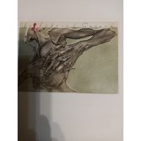 Гравюра Экслибрис Guseva