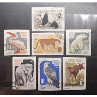 СССР. 1964 год. Фауна. Московский зоопарк. Беззубцовка  (561)