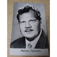 АКТЕР МИХАИЛ ПУГОВКИН