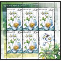2009 БЕЛАРУСЬ коллекционная марка "Курослеп лесной"   MNH