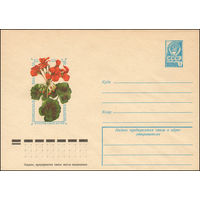 Художественный маркированный конверт СССР N 12493 (06.12.1977) Герань