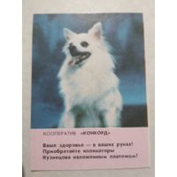 Карманный календарик. Собака. 1993 год