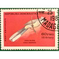 Мадагаскар 1986. Фауна. Птицы. Coua Crstata