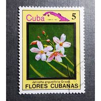 Марка Куба 1983 год Цветы