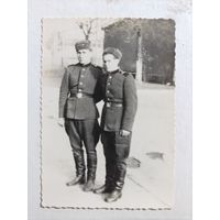 Фото в коллекцию