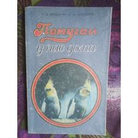 Чернушин, Дорофеев, Попугаи у нас дома