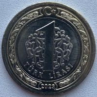 Турция 1 лира 2023 г.
