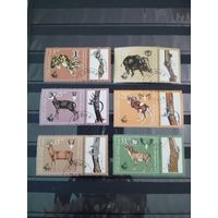 Болгария 1981 охота