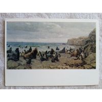 Шахназаров. Котиковый пляж