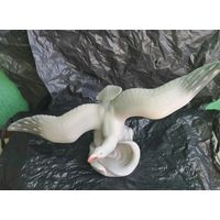 Чайка Минский ФФЗ