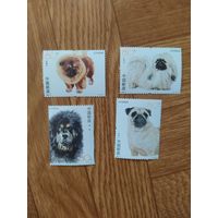 Китай серия марок 2006 г. Собаки.