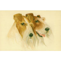 Открытка "Собаки"
