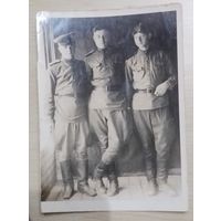 Фото в коллекцию